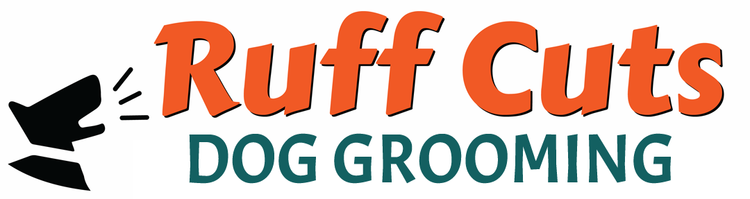 Premium Salon Dog Grooming